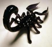 ������ ������� ViRuS_Ra3cH